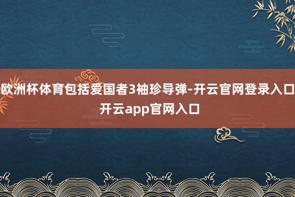 欧洲杯体育包括爱国者3袖珍导弹-开云官网登录入口 开云app官网入口