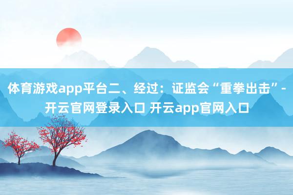 体育游戏app平台二、经过:证监会“重拳出击”-开云官网登录入口 开云app官网入口