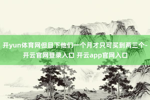 开yun体育网但目下他们一个月才只可买到两三个-开云官网登录入口 开云app官网入口