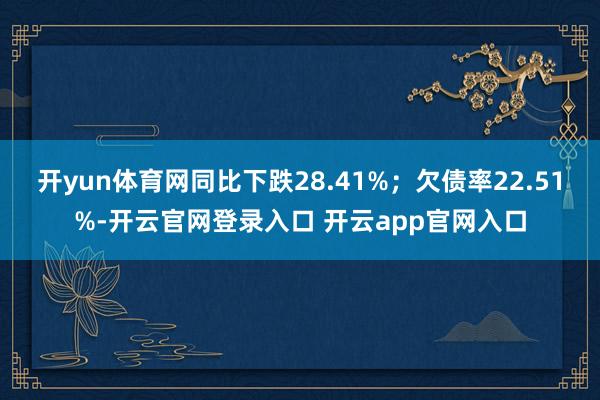 开yun体育网同比下跌28.41%；欠债率22.51%-开云官网登录入口 开云app官网入口