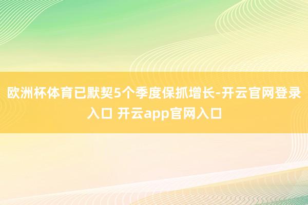 欧洲杯体育已默契5个季度保抓增长-开云官网登录入口 开云app官网入口