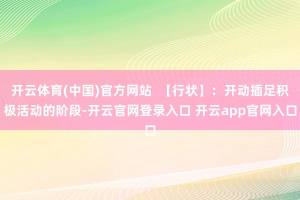开云体育(中国)官方网站  【行状】：开动插足积极活动的阶段-开云官网登录入口 开云app官网入口