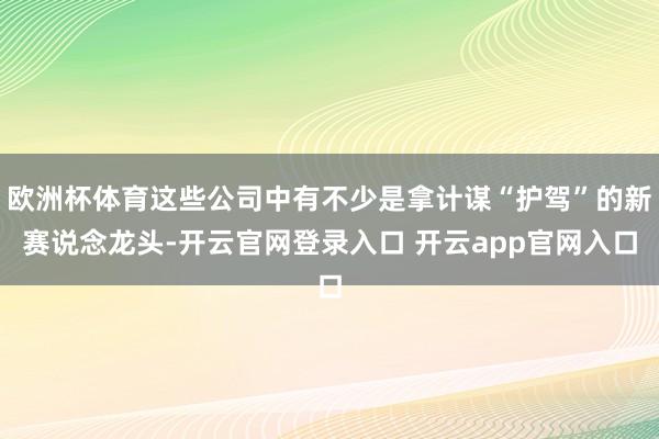欧洲杯体育这些公司中有不少是拿计谋“护驾”的新赛说念龙头-开云官网登录入口 开云app官网入口